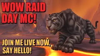 [V] 🔴 WORLD CLASSIC+ | DRUID (FARMING / T 0.5) | AMBERSHIRE #WorldofWarcraft