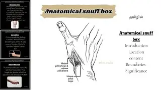 Anatomical snuff box in tamil // Introduction, Location, content, Border, Clinical Significance