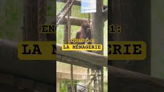 Premier &eacute;pisode : LA M&Eacute;NAGERIE 🦧💔 #animals #paris #zoo #vlog #adayinmylife