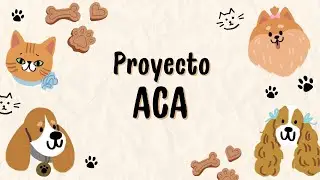 Presentaci&oacute;n ACA FINAL Eco Pet Solutions