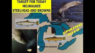 RO360 S2 E7 Target for Today Milwaukee Steelhead and Browns