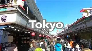 Must-See Spots for Tokyo Sightseeig【Journey to Discover Japan】Japanese Solo Female Traveller#tokyo