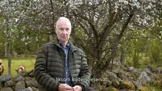 Vi är Tibro - Gillis Edman