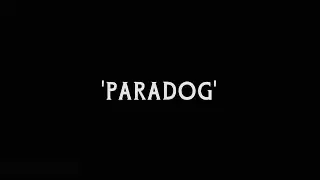 Paradog (Lyric) - Proyek 13 X Fj Kunting