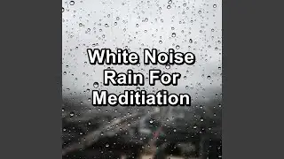 Soft Rain and Nature Sounds To Relax and Loop for 8 Hours