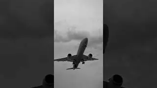 wedout me song 