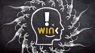 WINkLink Price Prediction [2021] And Why You Should Pay Attention!