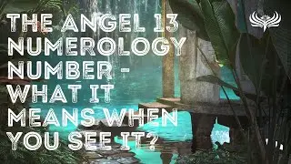 The Angel 13 Numerology Number 💫 What It Means When You See It?