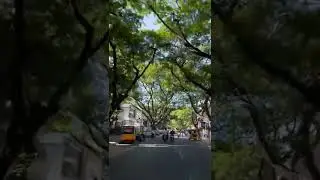 📍K. K. Nagar, Chennai..🦋