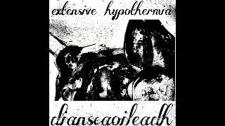 Dianscaoileadh - Extensive Hypothermia (2024) (Harsh Noise Wall)