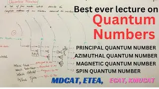 Quantum numbers | Types of Quantum numbers | @doctoracademypk