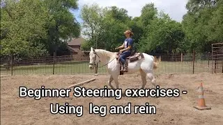 Beginner Riding Lesson - Steering and Control exercise Pattern using cones and a pole