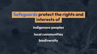 #Reducing Emissions from Deforestation and Forest Degradation (REDD)
