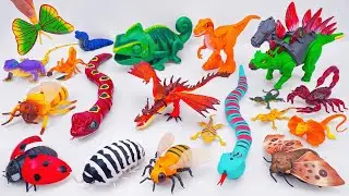 Toy asmr Remote Control Animals: Dragon HOOKFANG & Insect Toy Collection Playset ASMR 🐉 No talking