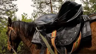 Most Oddly Satisfying Video to Watch Before Sleep