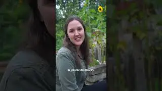 Noch nicht reingeh&ouml;rt? Dann wird&rsquo;s Zeit 🥳🫶🏼 #misery #shorts  #singersongwriter #neueslied