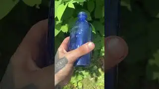 Vintage 1930s Milk of Magnesia glass bottle #bottlehunting #vintagebottles #nature #shorts #usa