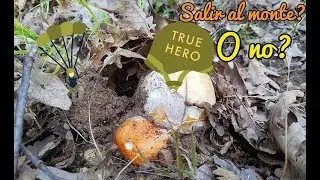 Amonos por setas pero ya!!!!