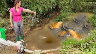 The Girl Amazing Skill Catch Many Big Fish, Block The Water Flow To Catch Fish By Pump
