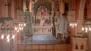 Corpus Christi Shrine - Live Stream