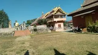 tsov muaj yees siv10/11/2022