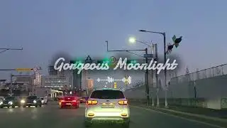 [Playlist 가사X]Lofi Instrumental Playlist | No Vocals