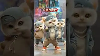cat🔥 Pawstep Revolution: The Coolest Feline Dance Ever #shorts