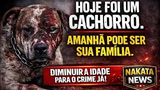CASO ORELHA , cachorro 🐕 Agredido POR ADOLESCENTES.