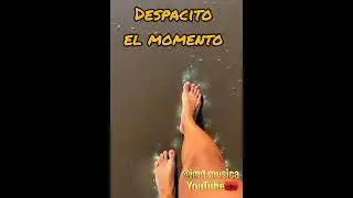 Despacito el momento 