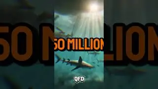 🌊🦈 Sharks vs. Trees: Who Came First? 🌳