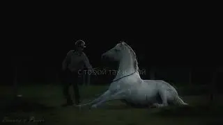 Я с тобой навсегда「 Equestrian sport MV 」HD