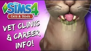 The Sims 4: Cats and Dogs |  New Vet Career Info, Family Run Vet Clinics And More!