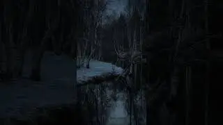 reflections #winter #nature #youtubeshorts #dark #river #relaxing