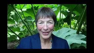 IFoA Sustainability Series: Climate Justice and Future Generations