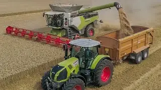 New Claas Lexion 8900 Combining Wheat - Biggest Combine In The World!! #claas #lexion #8900