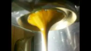EXTRA&Ccedil;&Atilde;O COM PF BOTTOMLESS - GAGGIA BABY CLASS