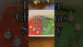🍚 Toddler Christmas Sensory Bin
