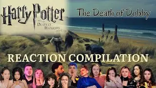 Harry Potter and the Deathly Hallows Part I (2010): The Death of Dobby - REACTION COMPILATION