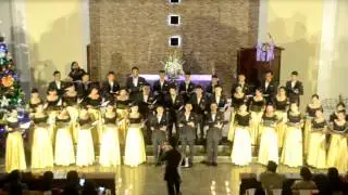 Ave Verum - HKBP Beringin Indah Youth Choir