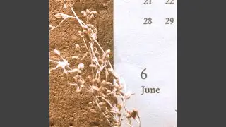 June 6