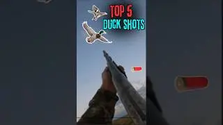 TOP 5 SHOTS | DUCK HUNTING #Compilation #duckhunting