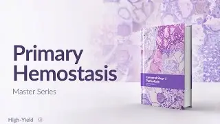 Primary Hemostasis | Platelet Plug Formation Made Easy