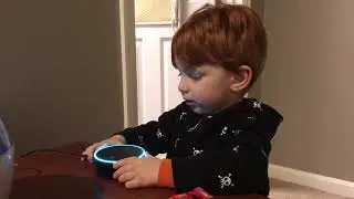 alexa playback