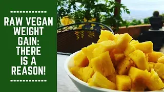 Raw Vegan Weight Gain: There is a Reason!
