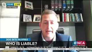 Dog bite injuries | Who is liable?