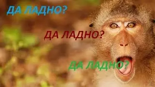 No More Room In Hell - ДА ЛАДНО?