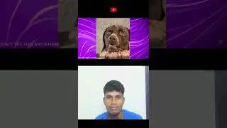 reaction video funny #shortsfeed #shorts #react #reactiontamil #reaction #shortvideo #reacttamil
