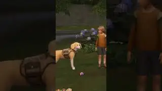 Sims 4 Pet Glitches are TERRIFYING... | #sims4 #sims4fun #thesims4