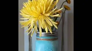 DIY Wall hanging mason jar vase.