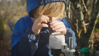 OES Wetlands: A Natural Resource for Learning